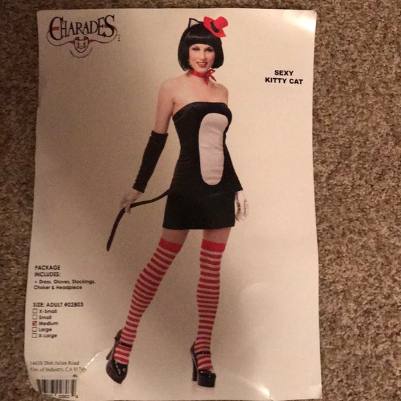 charades Other - Will arrive before Halloween (costume)!